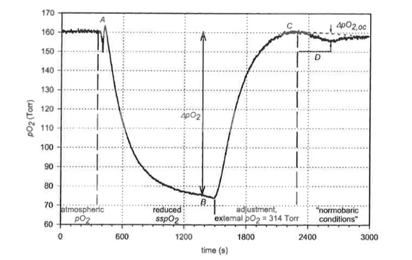 Case example of a measurement of the transcutaneous oxygen flux | Cutagenesis™ - Where Professional Skin Care Begins